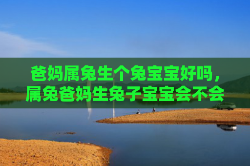 爸妈属兔生个兔宝宝好吗，属兔爸妈生兔子宝宝会不会有影响，属兔爸妈生兔子宝宝的几率有多大