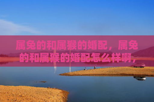 属兔的和属猴的婚配，属兔的和属猴的婚配怎么样啊，兔猴婚配是否适合