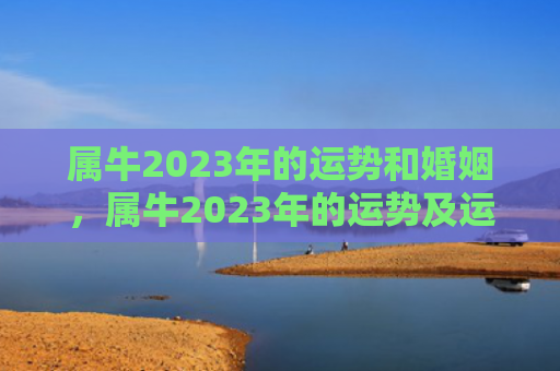 属牛2023年的运势和婚姻，属牛2023年的运势及运程