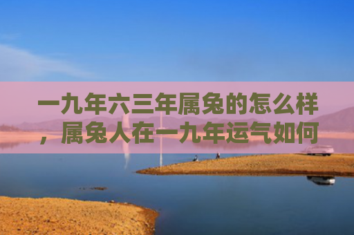 一九年六三年属兔的怎么样，属兔人在一九年运气如何，一九年属兔人运势怎样