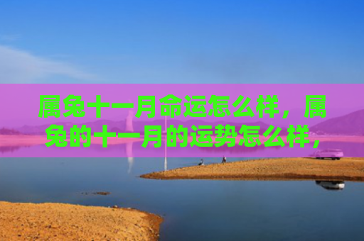 属兔十一月命运怎么样，属兔的十一月的运势怎么样，十一月属兔人的运势分析