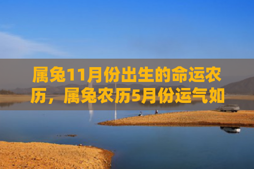 属兔11月份出生的命运农历，属兔农历5月份运气如何，农历五月运势如何