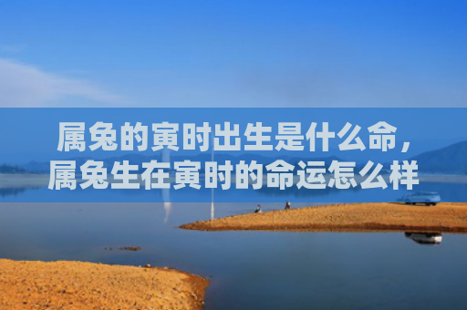 属兔的寅时出生是什么命，属兔生在寅时的命运怎么样，属兔生在寅时的特点与命运分析