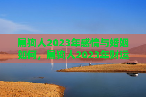 属狗人2023年感情与婚姻如何，属狗人2023年财运运势如何看