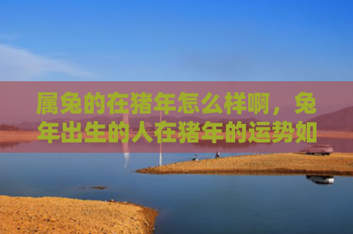 属兔的在猪年怎么样啊，兔年出生的人在猪年的运势如何