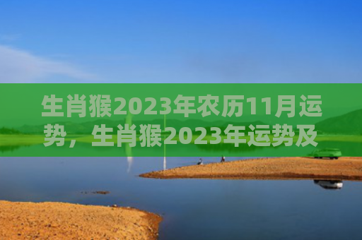 生肖猴2023年农历11月运势，生肖猴2023年运势及运程详解