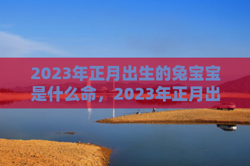 2023年正月出生的兔宝宝是什么命，2023年正月出生的兔宝宝哪天出生好