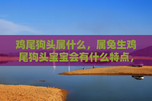 鸡尾狗头属什么，属兔生鸡尾狗头宝宝会有什么特点，属兔生鸡尾狗头宝宝的命运如何