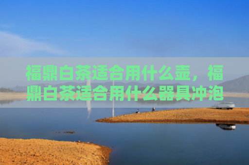 福鼎白茶适合用什么壶，福鼎白茶适合用什么器具冲泡？福鼎白茶怎么泡好喝？