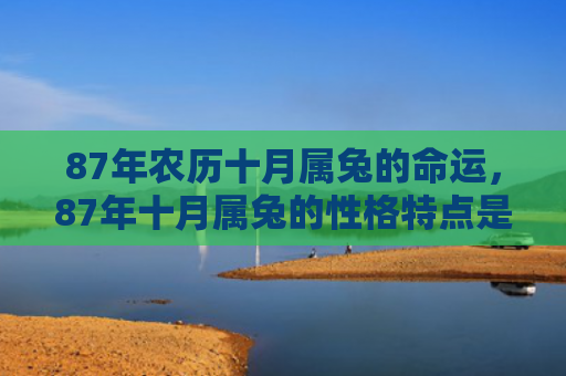87年农历十月属兔的命运，87年十月属兔的性格特点是什么，87年十月属兔的性格简介