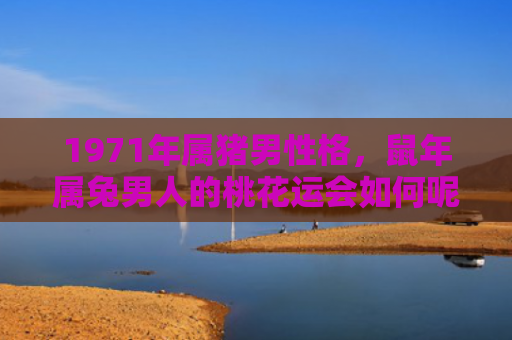 1971年属猪男性格，鼠年属兔男人的桃花运会如何呢，鼠年属兔男人桃花运不错
