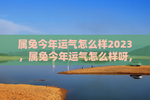 属兔今年运气怎么样2023，属兔今年运气怎么样呀，属兔今年运势大吉