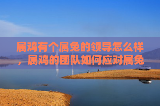 属鸡有个属兔的领导怎么样，属鸡的团队如何应对属兔领导的特点