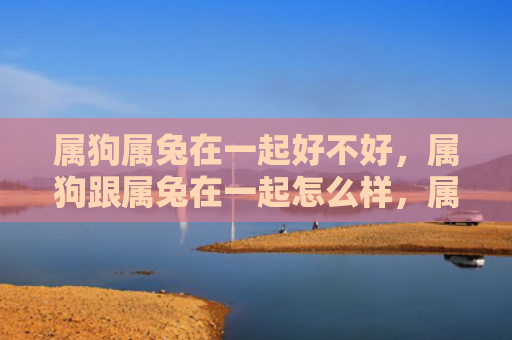 属狗属兔在一起好不好，属狗跟属兔在一起怎么样，属狗和属兔的组合如何