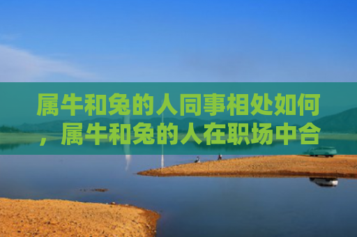 属牛和兔的人同事相处如何，属牛和兔的人在职场中合作情况调查结果