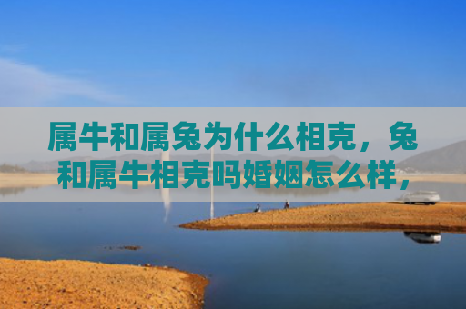 属牛和属兔为什么相克，兔和属牛相克吗婚姻怎么样，兔和属牛是否适合成为夫妻