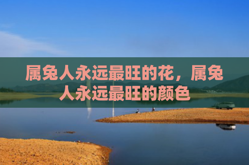 属兔人永远最旺的花，属兔人永远最旺的颜色