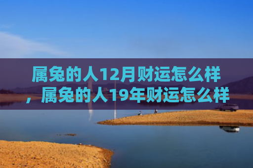 属兔的人12月财运怎么样，属兔的人19年财运怎么样，属兔的人19年财运表现