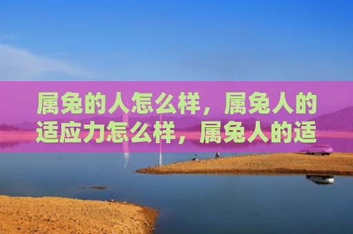 属兔的人怎么样，属兔人的适应力怎么样，属兔人的适应力与性格特点