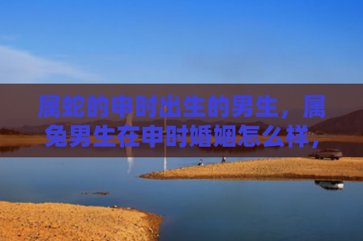 属蛇的申时出生的男生，属兔男生在申时婚姻怎么样，属兔男生在申时的婚姻状况