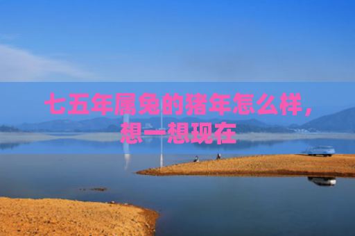 七五年属兔的猪年怎么样，想一想现在