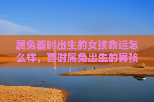 属兔酉时出生的女孩命运怎么样，酉时属兔出生的男孩命运如何，浅谈酉时属兔男孩的命运