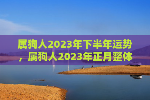 属狗人2023年下半年运势，属狗人2023年正月整体运势及运程