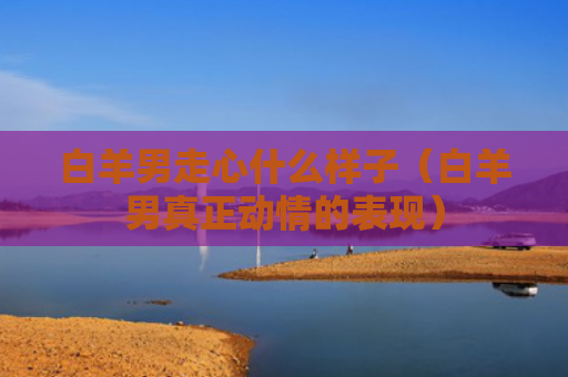 白羊男走心什么样子（白羊男真正动情的表现）