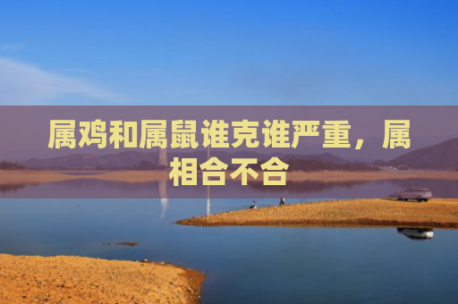 属鸡和属鼠谁克谁严重，属相合不合