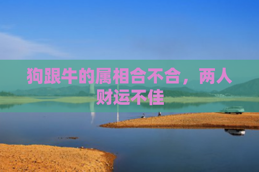 狗跟牛的属相合不合，两人财运不佳