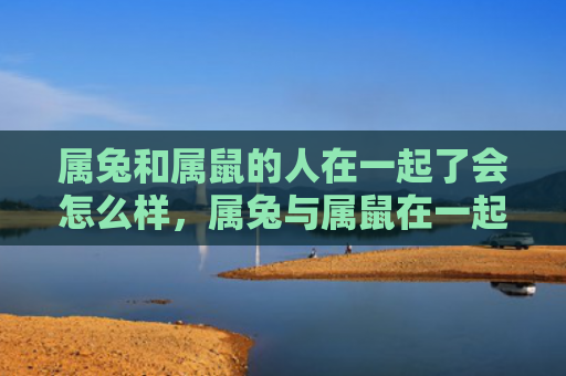 属兔和属鼠的人在一起了会怎么样，属兔与属鼠在一起会怎么样，两只小动物的奇妙表现