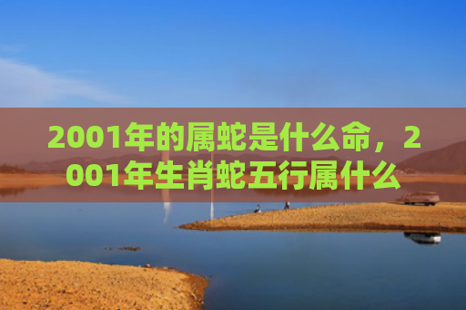 2001年的属蛇是什么命，2001年生肖蛇五行属什么