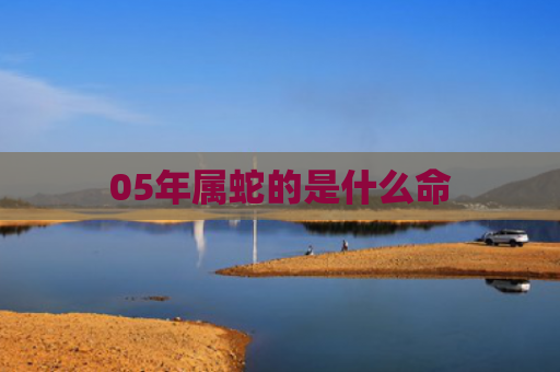 05年属蛇的是什么命
