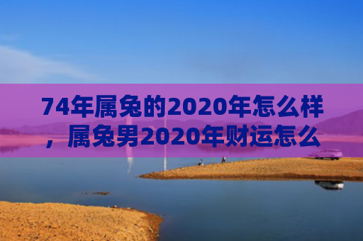74年属兔的2020年怎么样，属兔男2020年财运怎么样呢，2020年属兔男财运展望