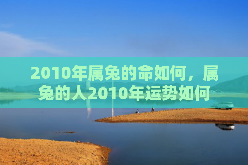 2010年属兔的命如何，属兔的人2010年运势如何