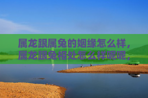 属龙跟属兔的姻缘怎么样，属龙跟兔相处怎么样呢呢，属龙与属兔的性格特点