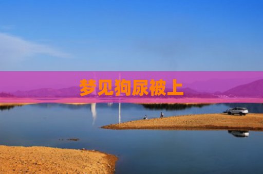 梦见狗尿被上