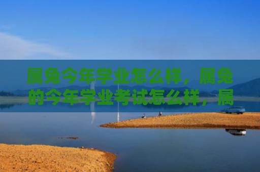 属兔今年学业怎么样，属兔的今年学业考试怎么样，属兔的今年学业考试表现