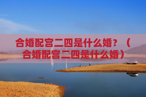 合婚配宫二四是什么婚？（合婚配宫二四是什么婚）