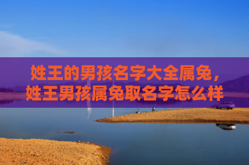 姓王的男孩名字大全属兔，姓王男孩属兔取名字怎么样，建议为姓王男孩属兔取名的良心推荐