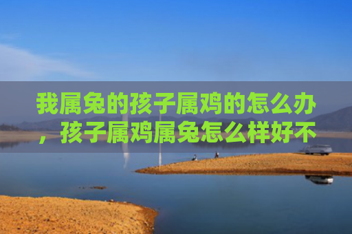 我属兔的孩子属鸡的怎么办，孩子属鸡属兔怎么样好不好，孩子属鸡属兔的特点与应对方法