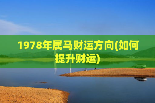 1978年属马财运方向(如何提升财运)