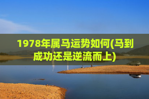 1978年属马运势如何(马到成功还是逆流而上)