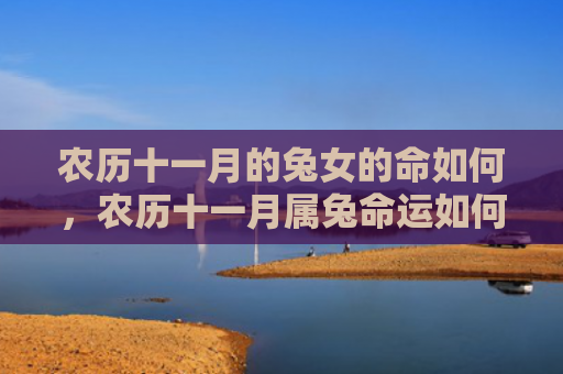 农历十一月的兔女的命如何，农历十一月属兔命运如何，属兔人在农历十一月的命运指南