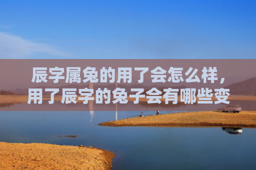 辰字属兔的用了会怎么样，用了辰字的兔子会有哪些变化