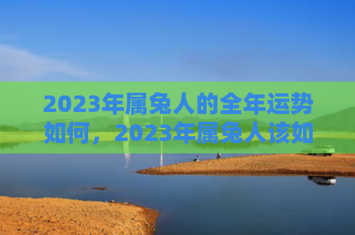 2023年属兔人的全年运势如何，2023年属兔人该如何躲避春运，属兔人如何在2023年春运中旅行