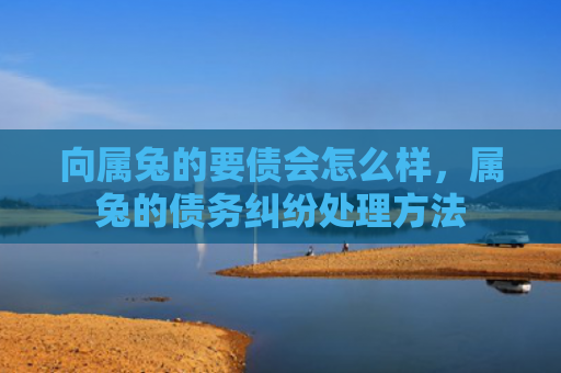 向属兔的要债会怎么样，属兔的债务纠纷处理方法