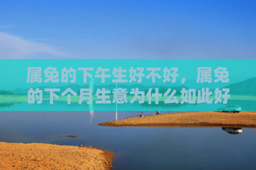 属兔的下午生好不好，属兔的下个月生意为什么如此好，属兔的下个月生意很不错