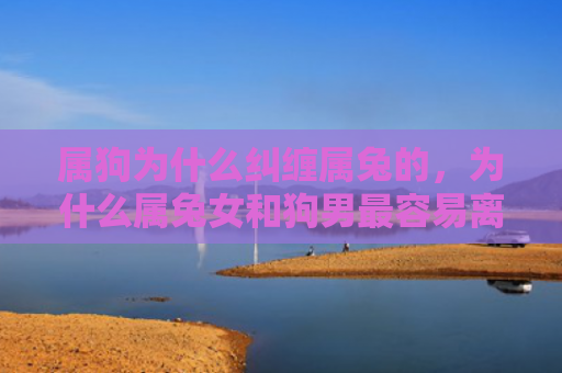 属狗为什么纠缠属兔的，为什么属兔女和狗男最容易离婚，属兔女和狗男的婚配结果如何