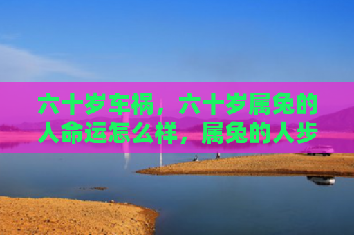 六十岁车祸，六十岁属兔的人命运怎么样，属兔的人步入六十岁